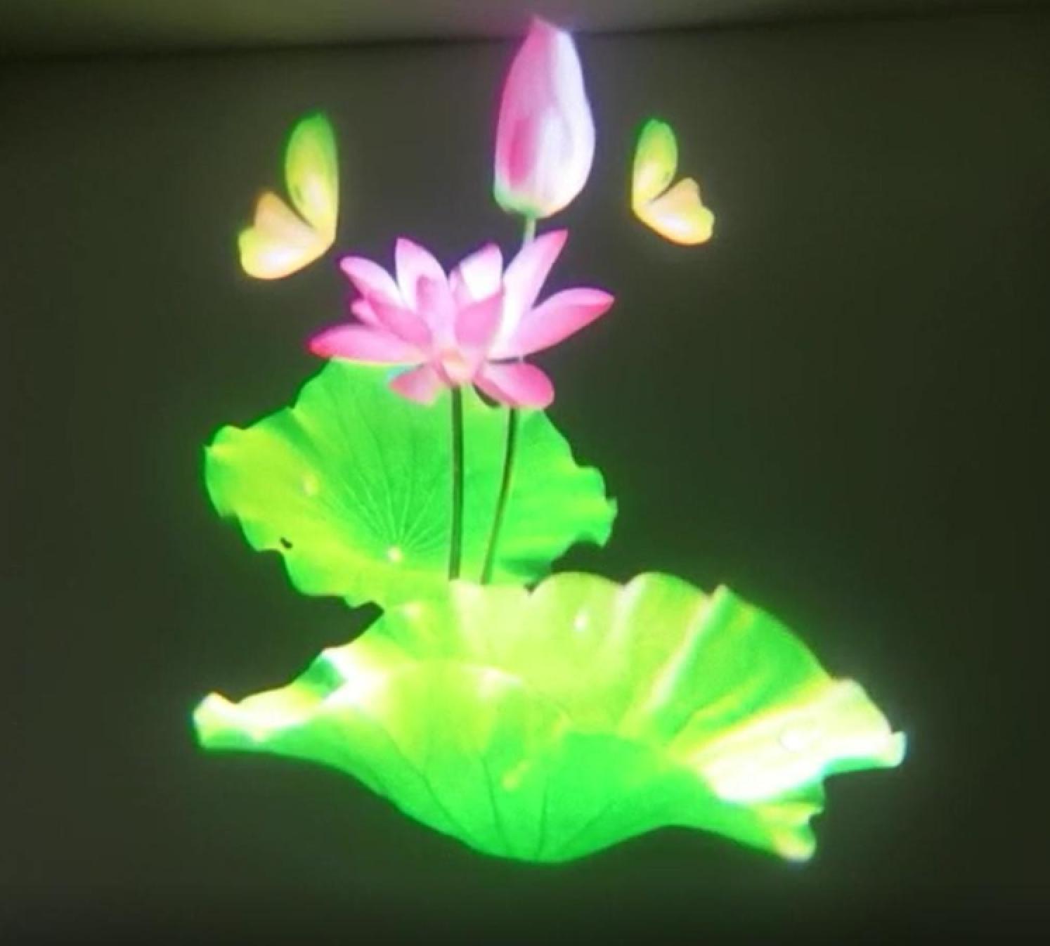 夢幻水影