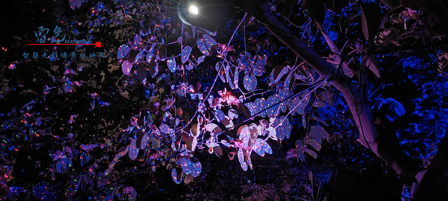 雷色光電打造《夢(mèng)境光語(yǔ)》夜場(chǎng)燈光秀震撼來(lái)襲！(圖36)