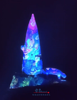 光影交織，夢(mèng)想啟航——雷色光電2023光影年鑒與2024夢(mèng)幻前瞻！(圖19)